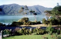 Fish Bay, Marlborough Sounds, NZ